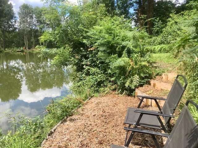 Maison à MAZEROLLES