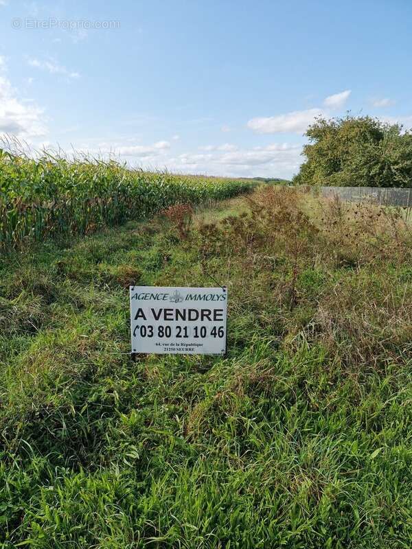 Terrain à LECHATELET