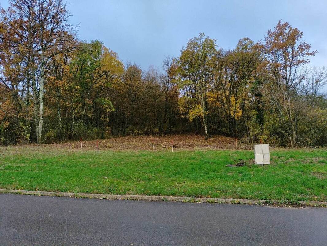 Terrain à MIGNE-AUXANCES