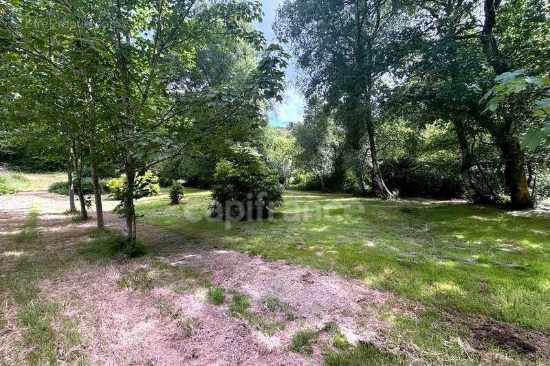 Terrain de loisirs non constructible - 7138m² de nature - Prairie, ruisseau et tranquillité absolue Quimper (29) - photo 3