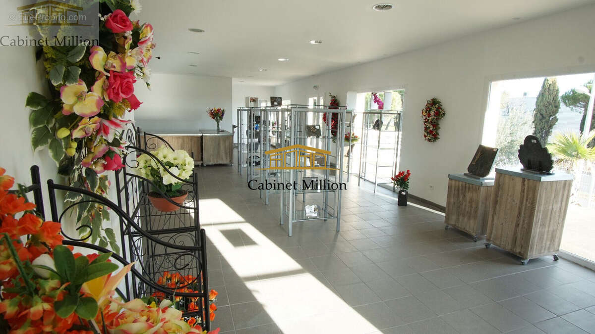 Appartement à FRONTIGNAN