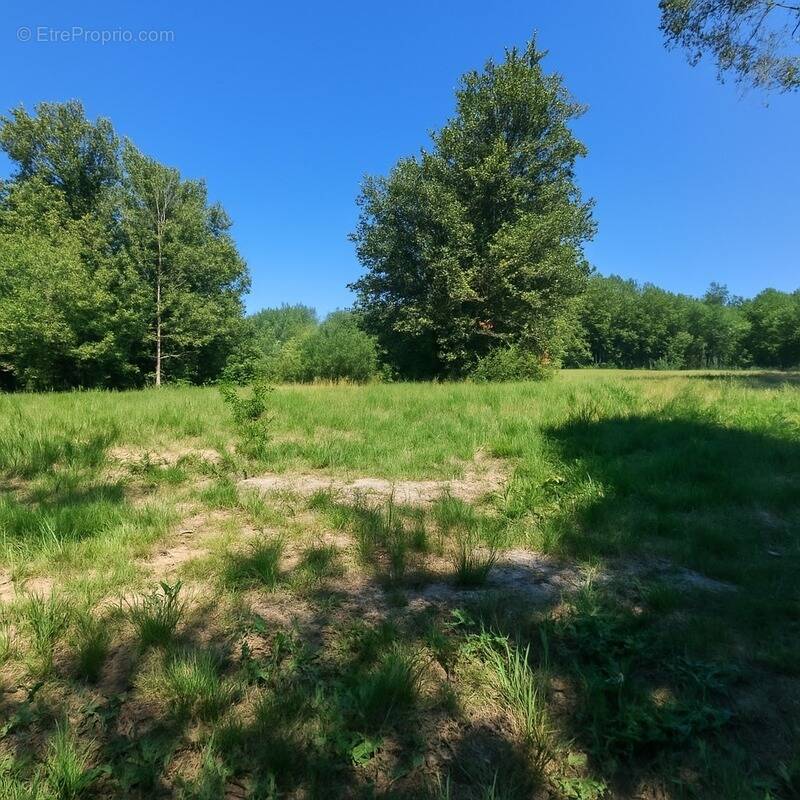 Terrain à FRONTENAC
