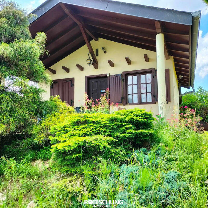 ALTENACH : étang avec chalet - photo 4