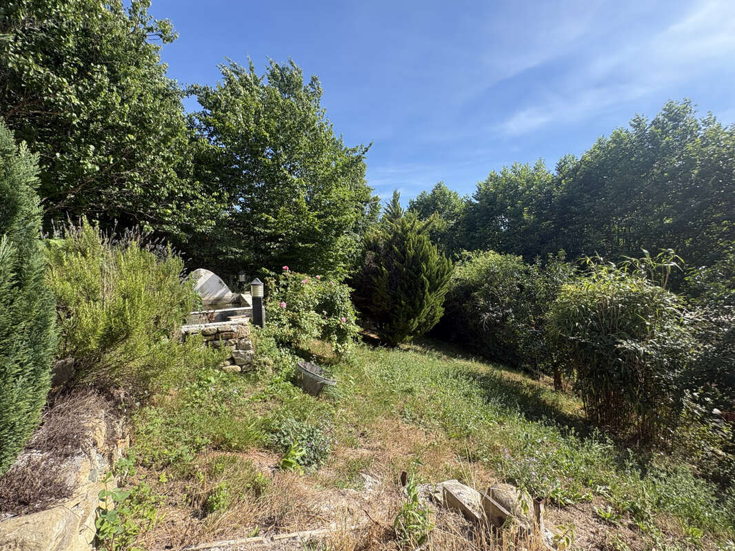 Proche limoux  maison en pierre avec jardin - dependances, grange et studio indépendant - photo 21