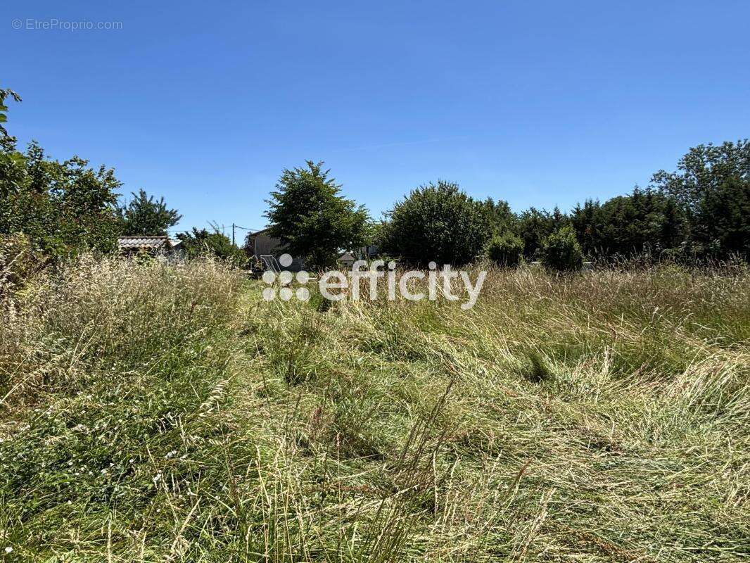Maison 160 m² à Larra  - photo 13