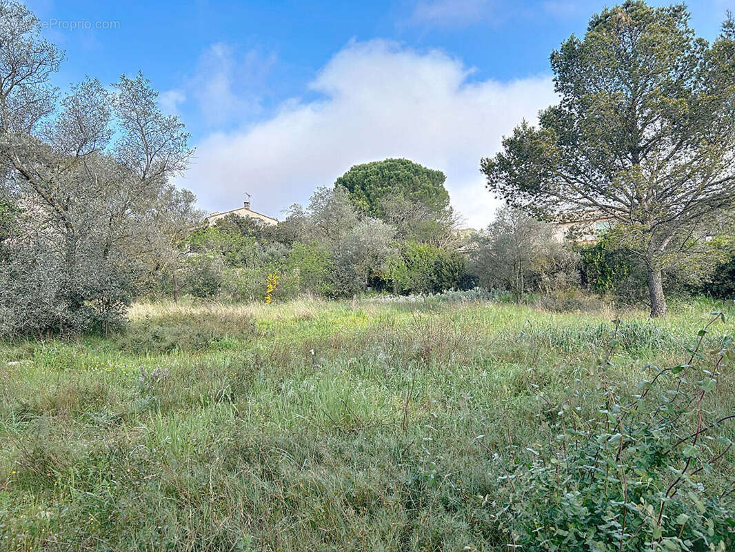 Terrain à VILLENEUVE-LES-AVIGNON