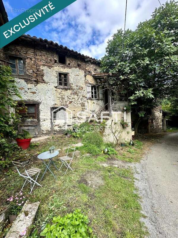 Photo 2 - Maison à MONTREDON-LABESSONNIE