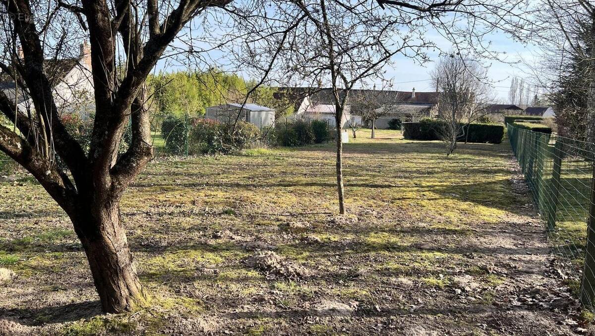 Terrain à MONT-PRES-CHAMBORD