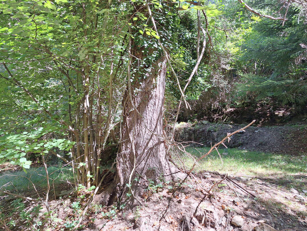 Terrain à ESCOULOUBRE