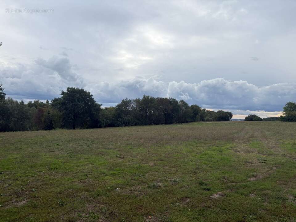 Terrain à MONTASTRUC-LA-CONSEILLERE