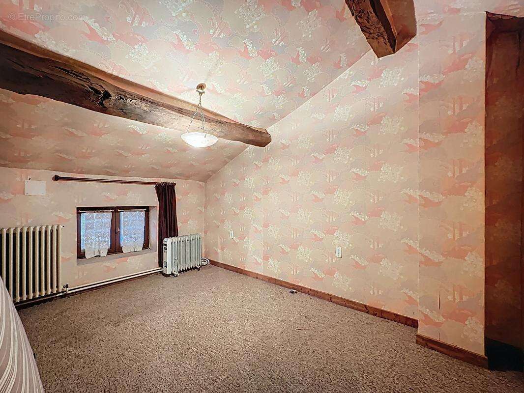 Maison à SATOLAS-ET-BONCE