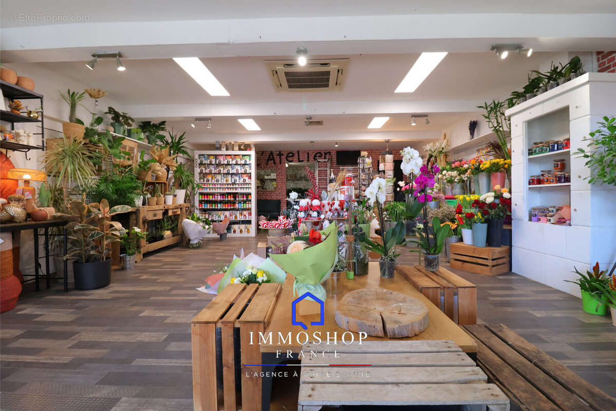 Commerce à PLAN-DE-CUQUES