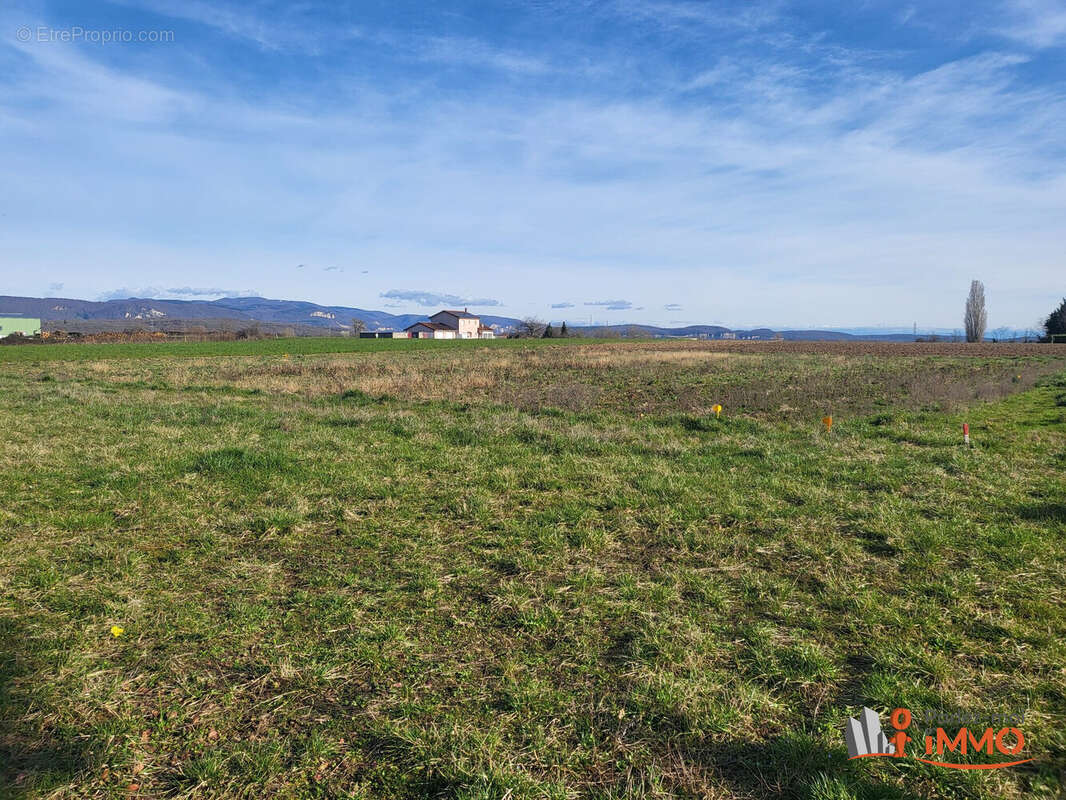 Terrain à CHAZEY-SUR-AIN