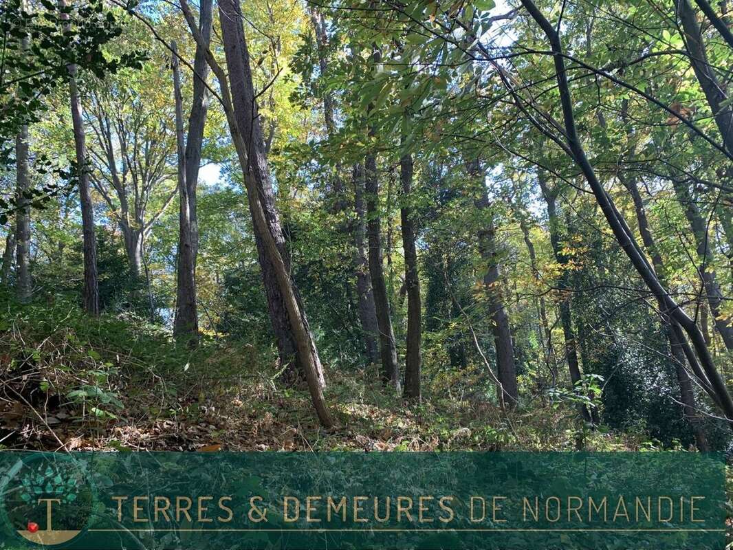 Terrain à BEUZEVILLE