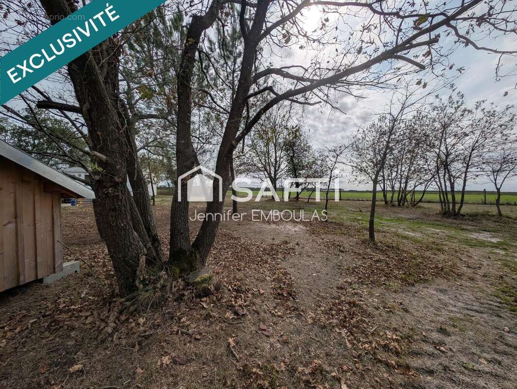 Photo 5 - Terrain à BELIN-BELIET