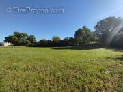 Terrain à SAINT-JEAN-DE-MARUEJOLS-ET-AVEJAN