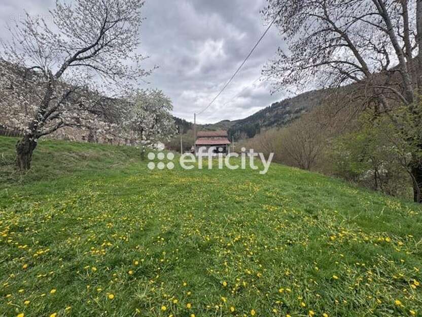 Maison 80 m² à Monistrol-D'allier  - photo 12