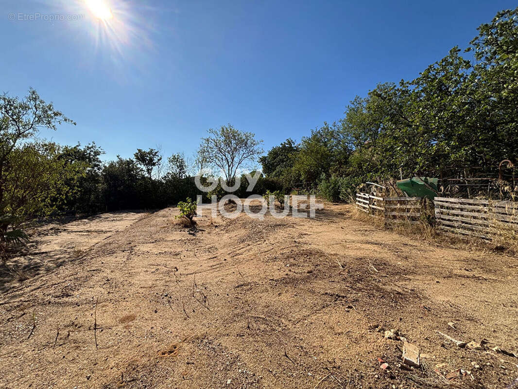 Terrain à CANOHES