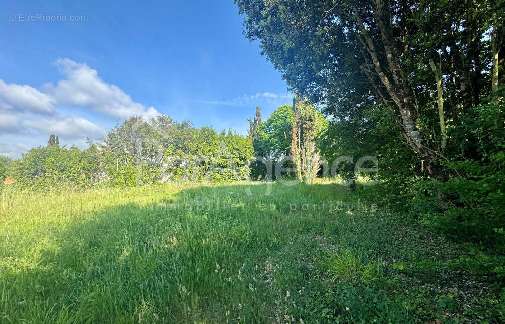 Terrain à VAUX-SUR-MER