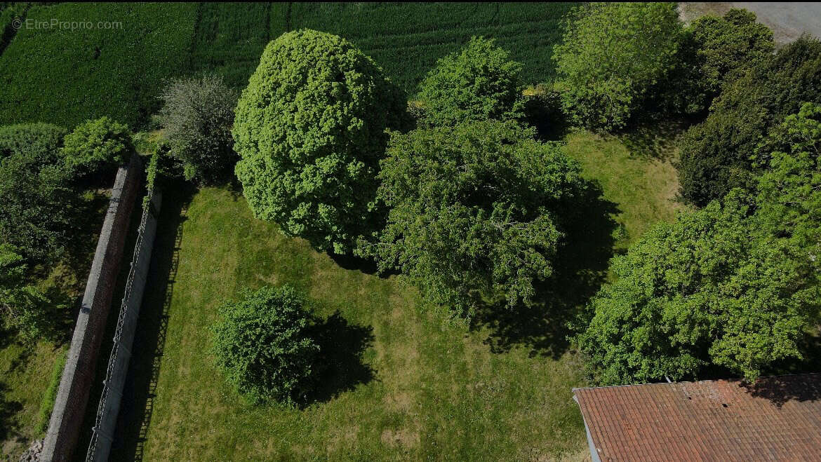 Terrain à CAMPHIN-EN-CAREMBAULT