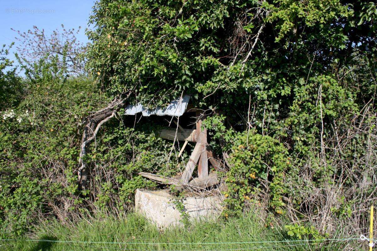 Fermette authentique dans le Morvan - photo 14