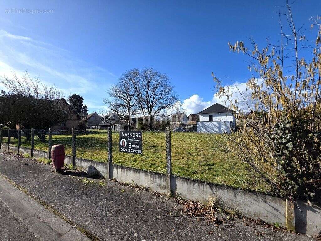 Terrain à ASPACH-LE-HAUT