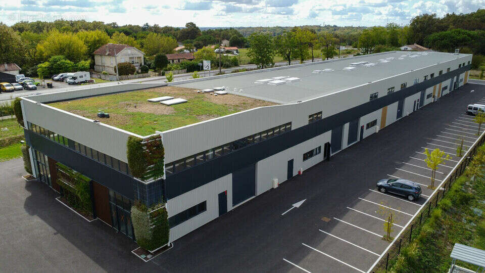 Commerce à SALLEBOEUF