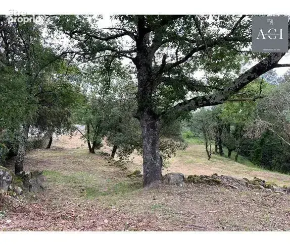 Vente Terrain Aubenas(07200) 109 000ï¿œ - photo 7