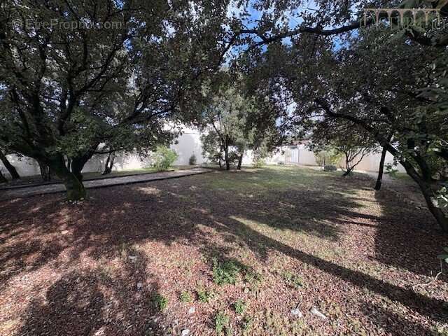 Terrain à SUSSARGUES