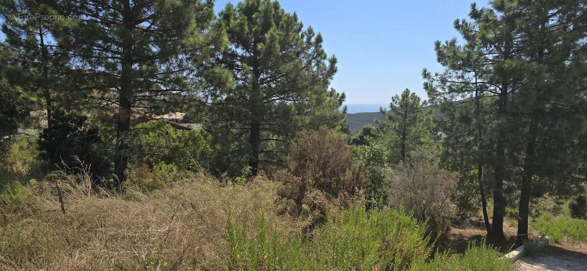 Terrain de 2000 m² avec permis purgé - photo 16