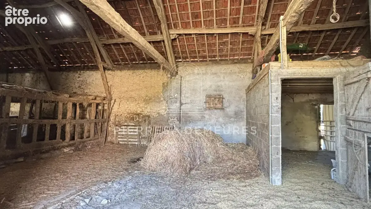 Fermette sur 1 hectare et plus possiblement - photo 16