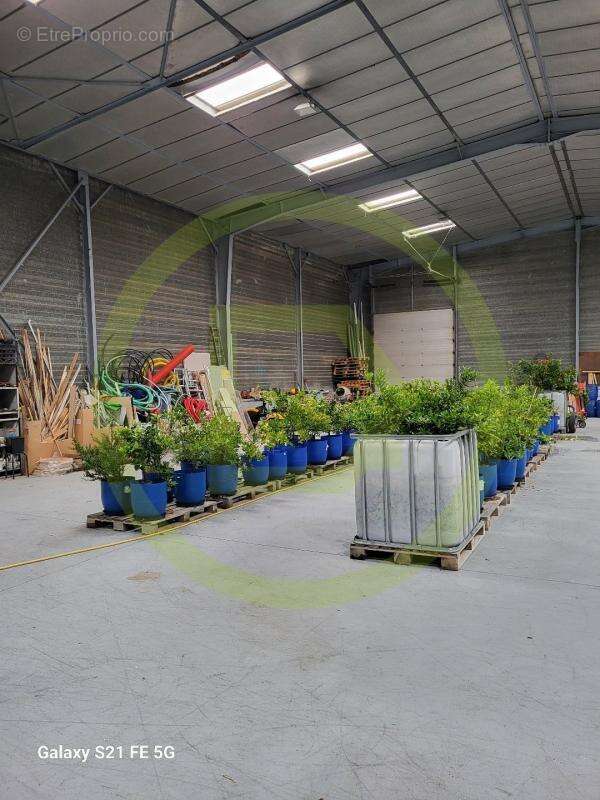 Maison à SAINT-CYR-EN-VAL