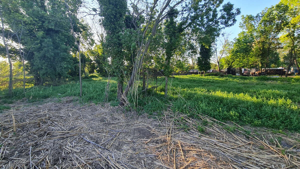 Terrain à PERPIGNAN