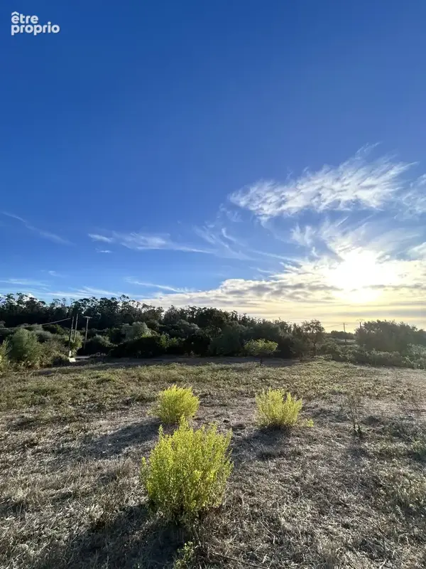 Terrain à SERRA-DI-FIUMORBO