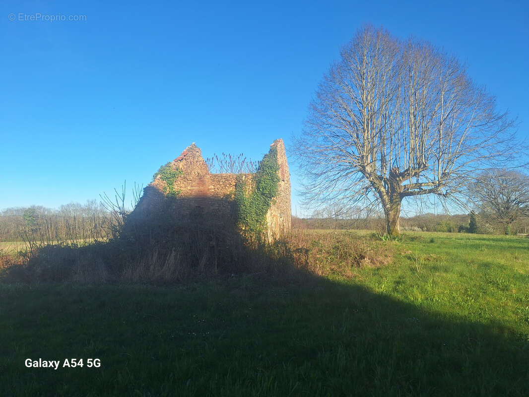 Ruine avec 3 ha - photo 3
