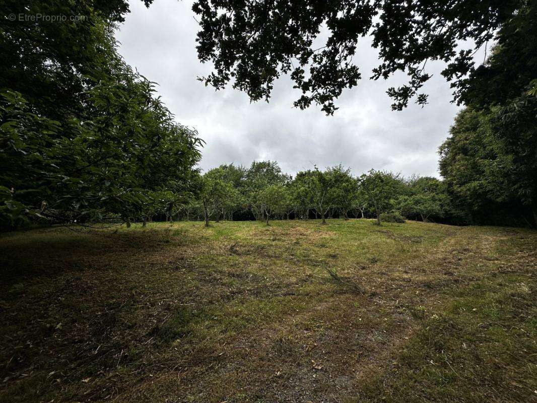 Terrain à SAINT-CYR-LA-ROSIERE