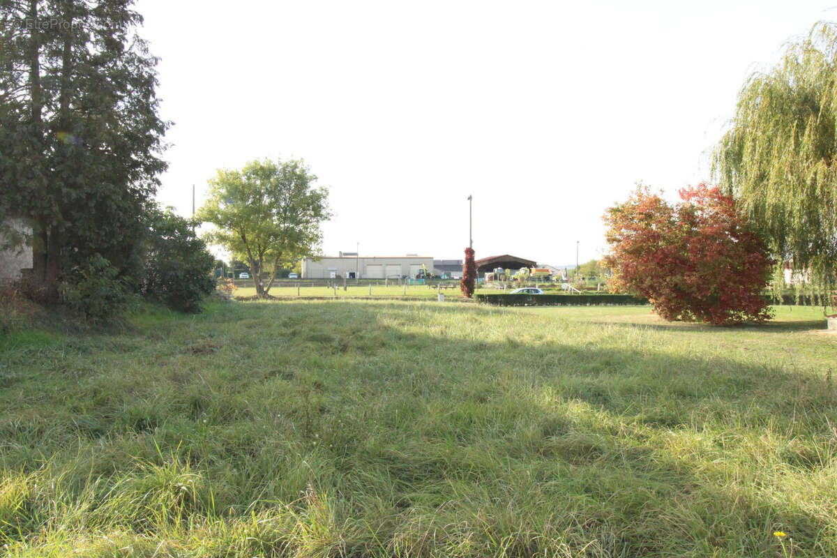 Terrain à SILLEGNY