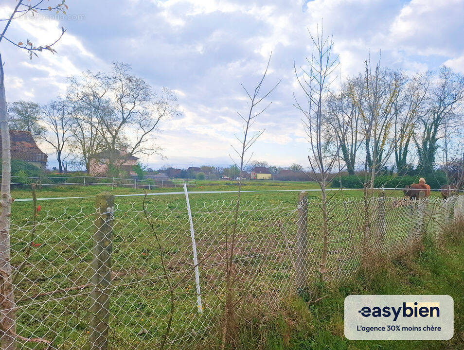 Terrain à HAGETAUBIN