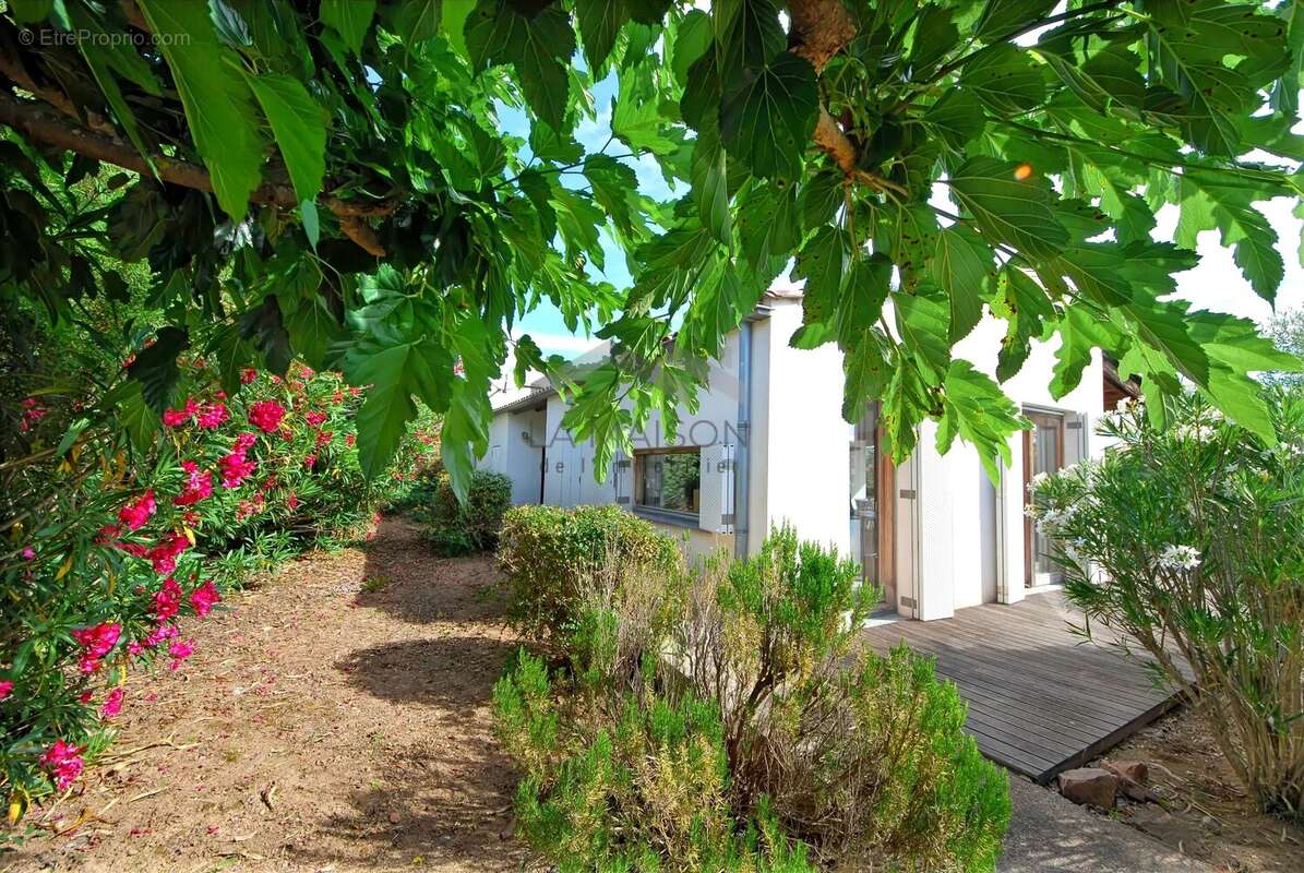 Maison à PORTO-VECCHIO