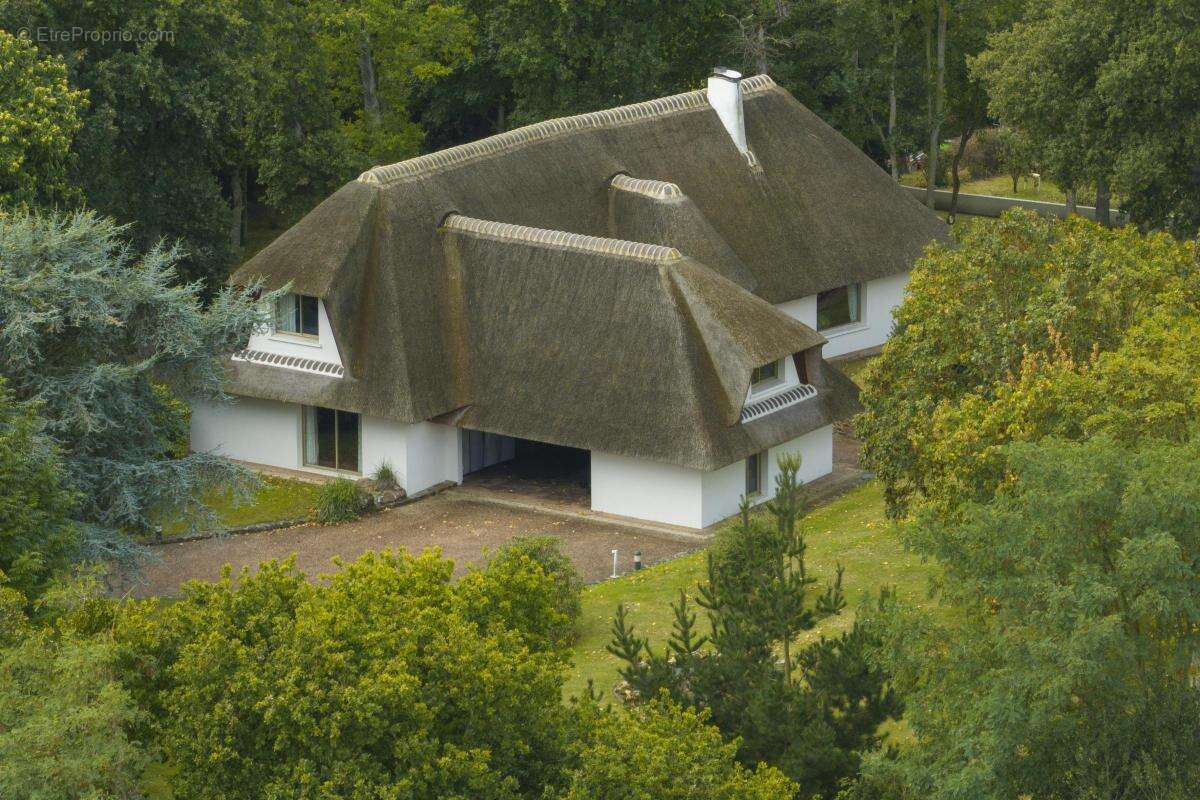 Propriété - photo 6