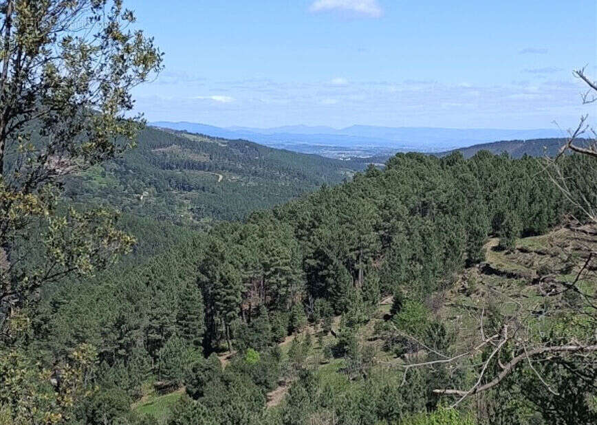 Terrain à MALBOSC