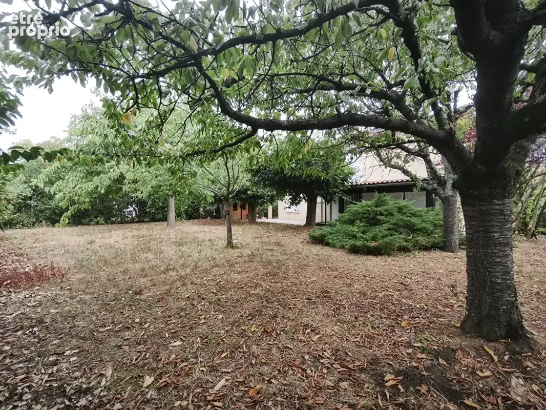 Villa individuelle rénovée 130 m²  Suite parentale RDC  Grand jardin 768 m²  DPE B Villeneuve-Tolosane - photo 5