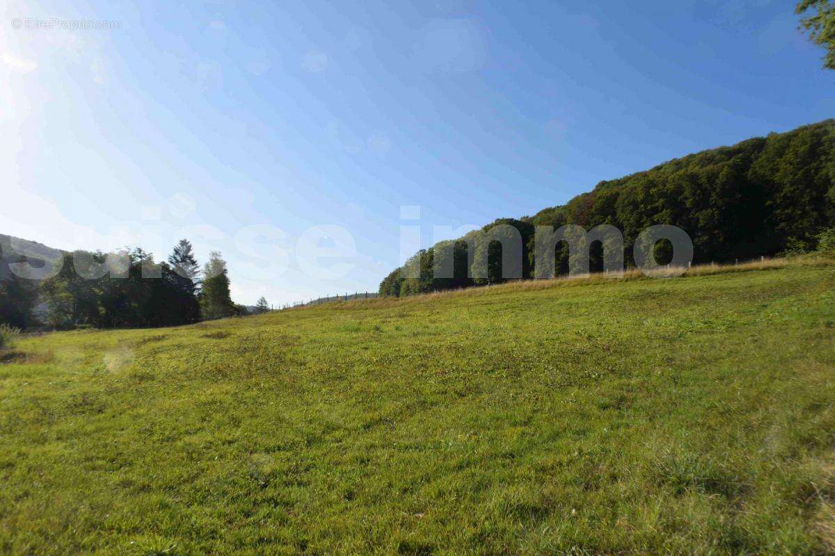 Terrain à SANCEY-LE-LONG