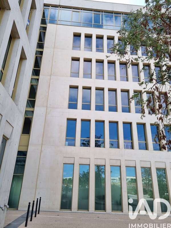 Photo 2 - Commerce à MONTPELLIER