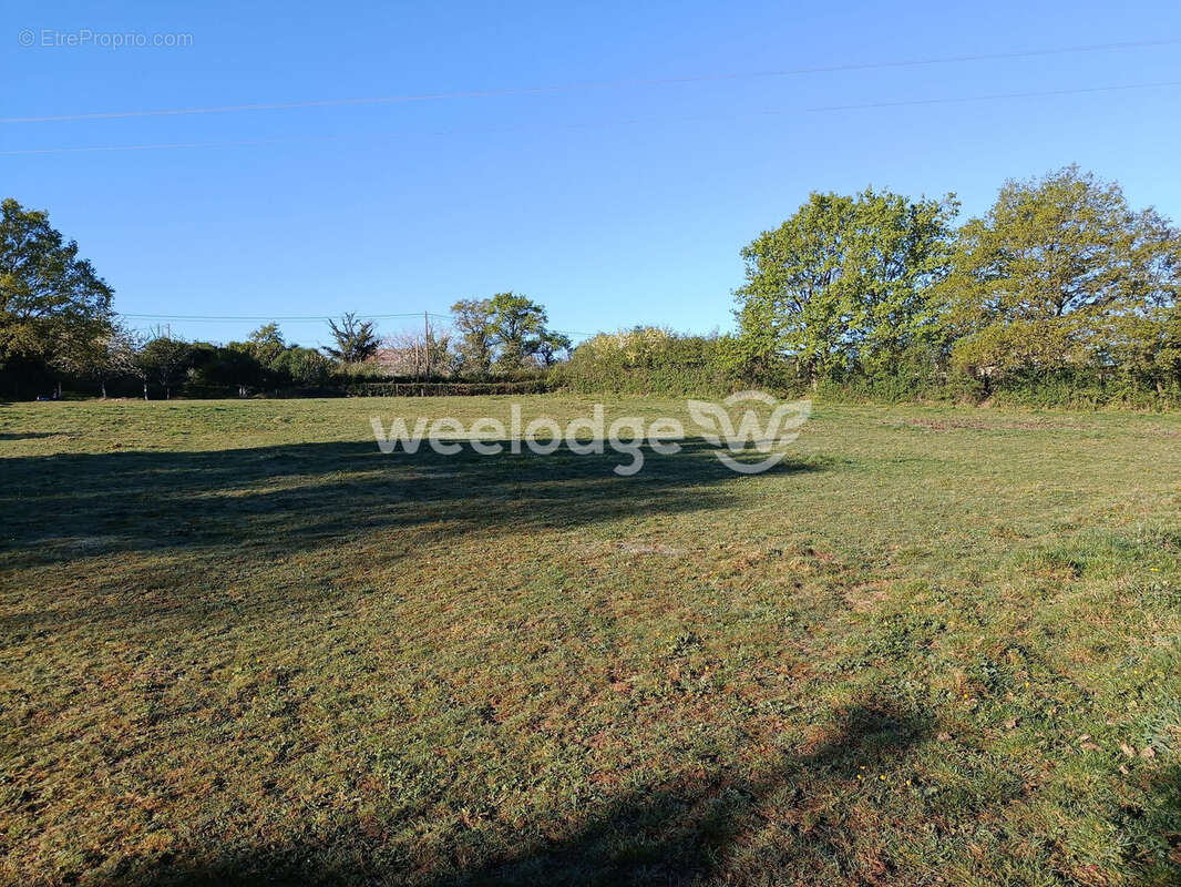 Terrain à BOUESSE