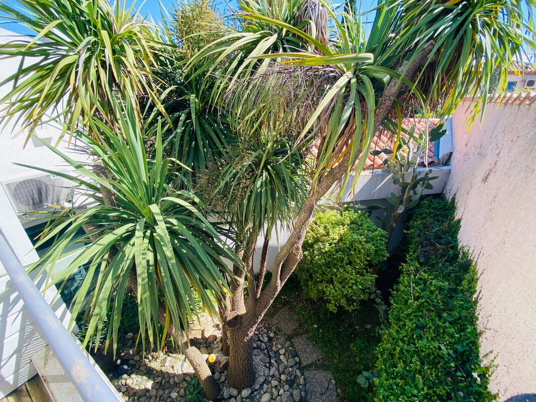 Maison à SAINT-CYPRIEN