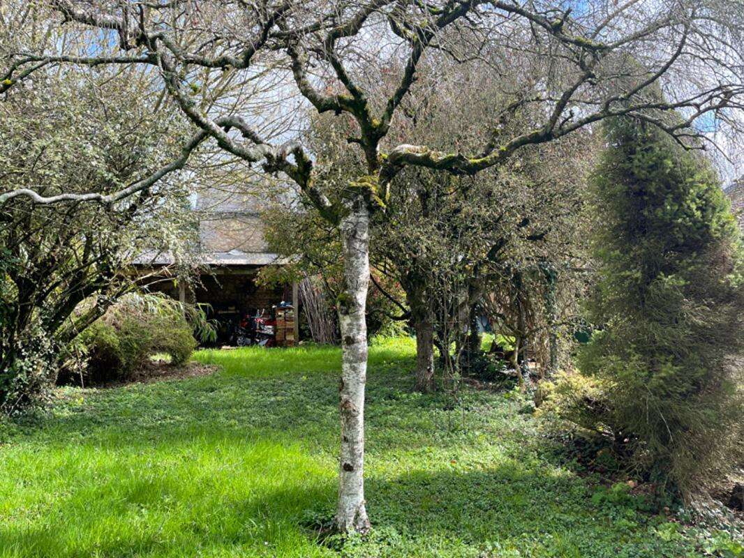 Maison Sainte Solange 7 pièce(s) 280 m2 sur terrain de  845 m² - photo 17