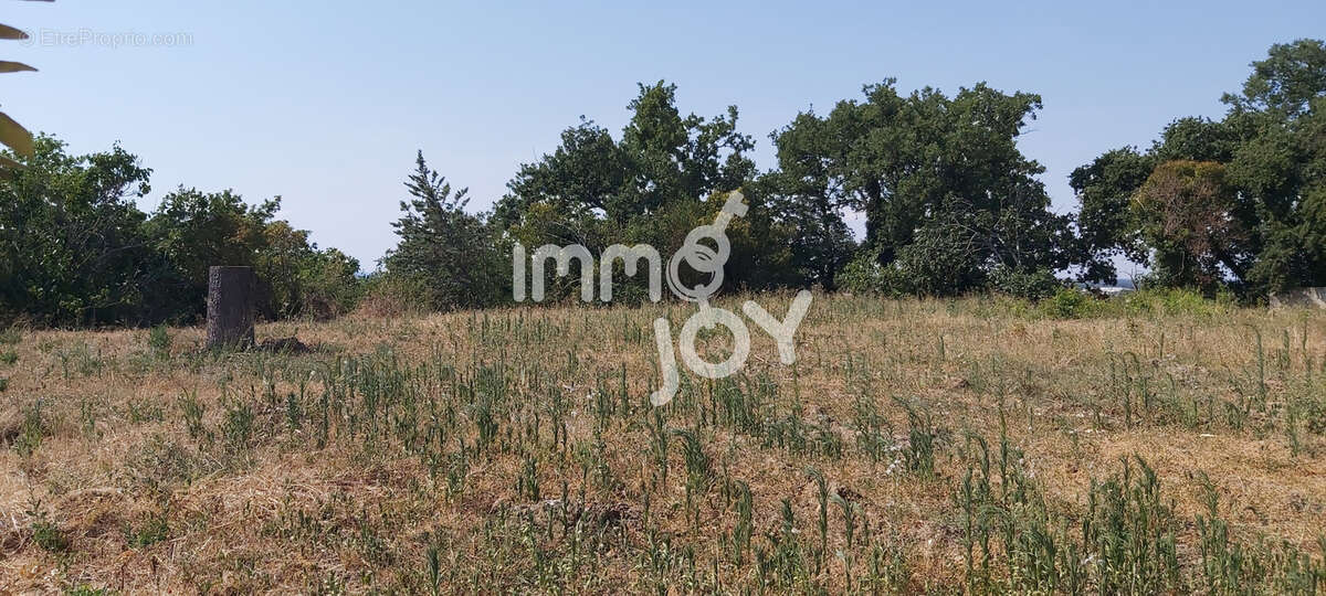 Terrain à bâtir sur Muret - photo 2