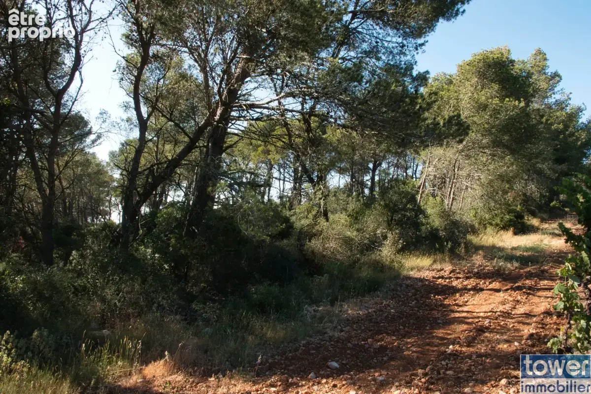 Fabrezan-Terrain 4 ha non constructible en Zone Naturelle - photo 3