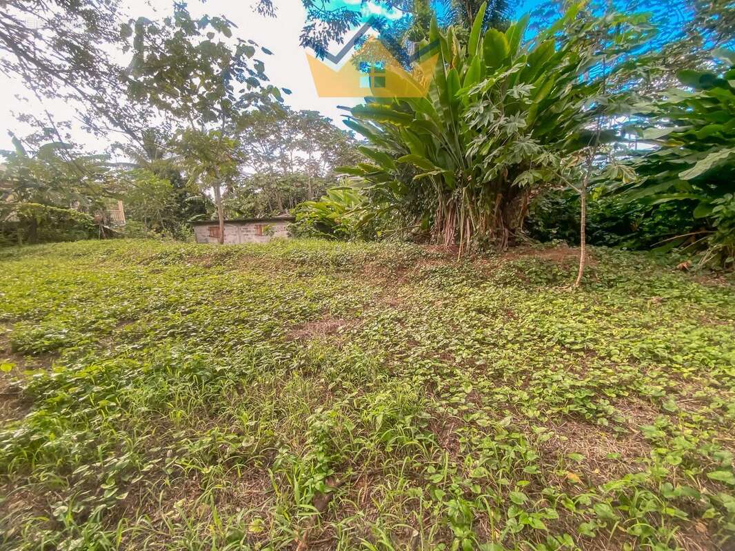 Terrain à PETIT-BOURG